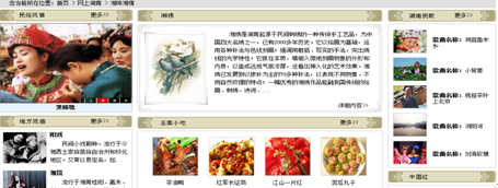 [2009特色評選] 湖南省政府門戶網(wǎng)站榮獲“品牌欄目獎”