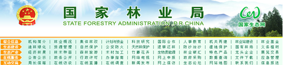 [2009特色評選] 國家林業(yè)局網(wǎng)站榮獲“品牌欄目獎(jiǎng)”