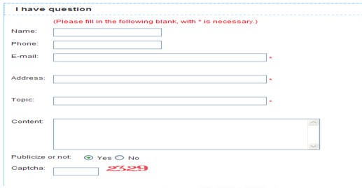 [第五屆國際化會議]湖南省政府門戶網站點評