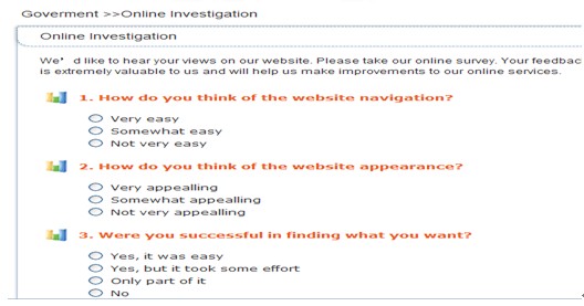 [第五屆國際化會議]湖南省政府門戶網站點評