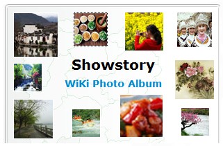 [第五屆國際化會議]湖南省政府門戶網站點評
