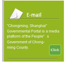 [第五屆國際化會(huì)議]上海市崇明縣政府門戶網(wǎng)站點(diǎn)評(píng)