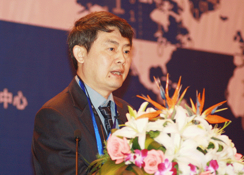 汪向東：把握國際新動向，推進政府網(wǎng)站國際化