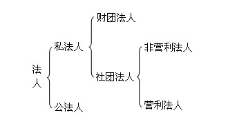 組織機(jī)構(gòu)代碼與我國(guó)的法人及法人制度