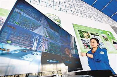 點擊進(jìn)入下一頁