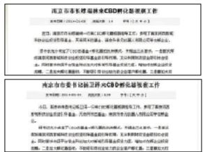 雙胞胎報(bào)道