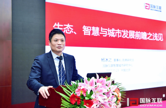 國脈互聯(lián)董事長/首席研究員楊冰之