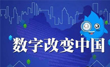 西方經(jīng)驗在廈門市數(shù)字政府治理中的應(yīng)用分析