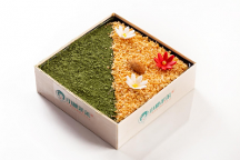 “厚切優(yōu)格提拉米蘇”，盤一盤小糖茉茉家的招牌甜品