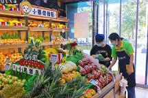 金三銀四開水果店正當時，吉小果期待合作共贏