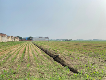 山東財經(jīng)大學耕地非糧化研究團隊——探究山東省競爭視角下的耕地非糧化