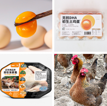 好雞好蛋齊相伴！錢大媽上市清遠雞，無抗蛋，你愛了嗎？