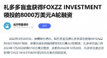 禮多多盲盒獲FOXZZ INVESTMENT領(lǐng)投8000萬美元A輪融資