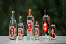 春糖頂流 高燃收官 | 能賦·米燒征程不止，勇毅前行耀未來！