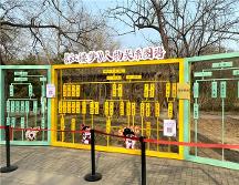 從《紅樓夢(mèng)》到未來(lái);書(shū)香家庭故事-孩子閱讀的培養(yǎng)