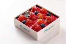 小糖茉茉厚切優(yōu)格提拉米蘇，一款讓你驚艷的美味甜品