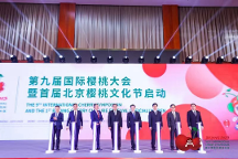 北京、澄城兩地同時點亮櫻桃行業(yè)的“奧運會”！