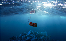 精靈夢葉羅麗 聚焦海洋保護，寓教于樂探索藍色未知世界！