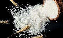 禾之善：堅(jiān)定使命，只為大家吃上一碗健康的好米飯