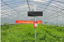 馬明哲：深化戰(zhàn)略，修煉內(nèi)功，收獲新時期的高質(zhì)量發(fā)展