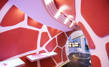 探究免疫細胞的巨大作用 中源協(xié)和免疫細胞有什么好？