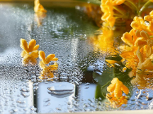 千年舟鋅效抗菌2.0系列健康板材，以超硬核實(shí)力守衛(wèi)家居健康