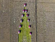 全域豐收場景背后的濰柴雷沃力量