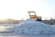 新疆長絨棉供不應求，“大博弈”后沖出一匹新黑馬