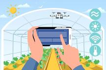 “認(rèn)養(yǎng)”+“農(nóng)業(yè)”怎么玩？超級碼認(rèn)養(yǎng)云平臺——打通產(chǎn)供銷，助農(nóng)增收促振興