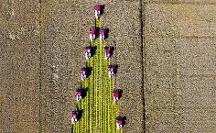 濰柴雷沃：用實(shí)際行動(dòng)讓“中國(guó)飯碗”的底氣更足