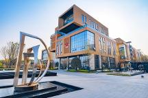 圣雅菲科普篇 | 干細(xì)胞對(duì)阿爾茲海默癥的治療