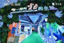 探館第 9 屆南博會(huì)“住在云南”展區(qū):解碼詩(shī)意棲居的云南答案